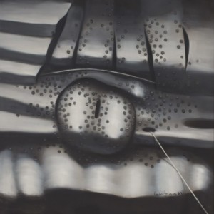 Oil on Canvas, 50.25 x 52 inches,
Private Collection Agustín Fernández. Armadura, 1964. Oil on Canvas, 50.25 x 52 inches. Private Collection.
